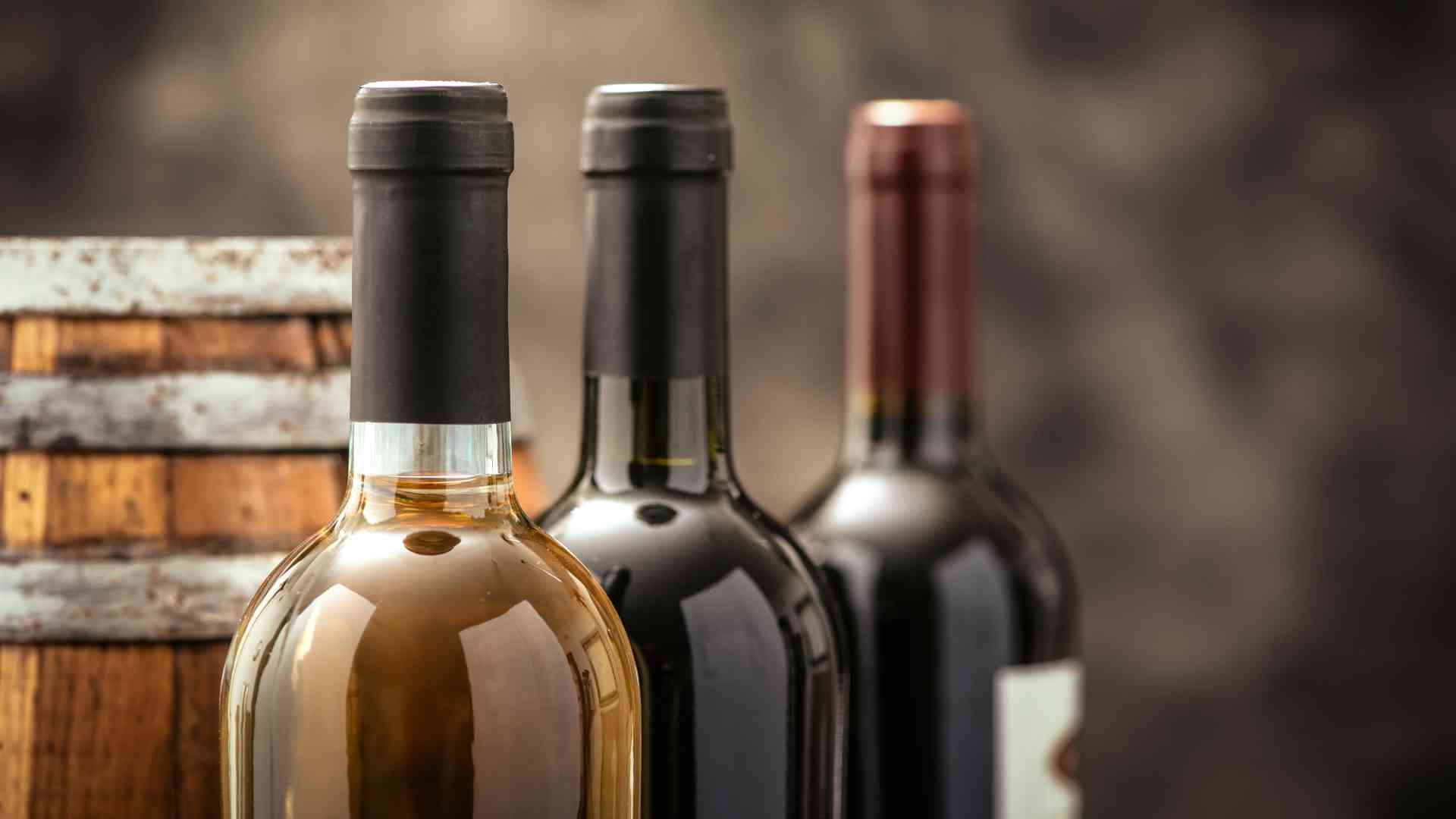 Panuts: Importancia y tipos de botellas de vino