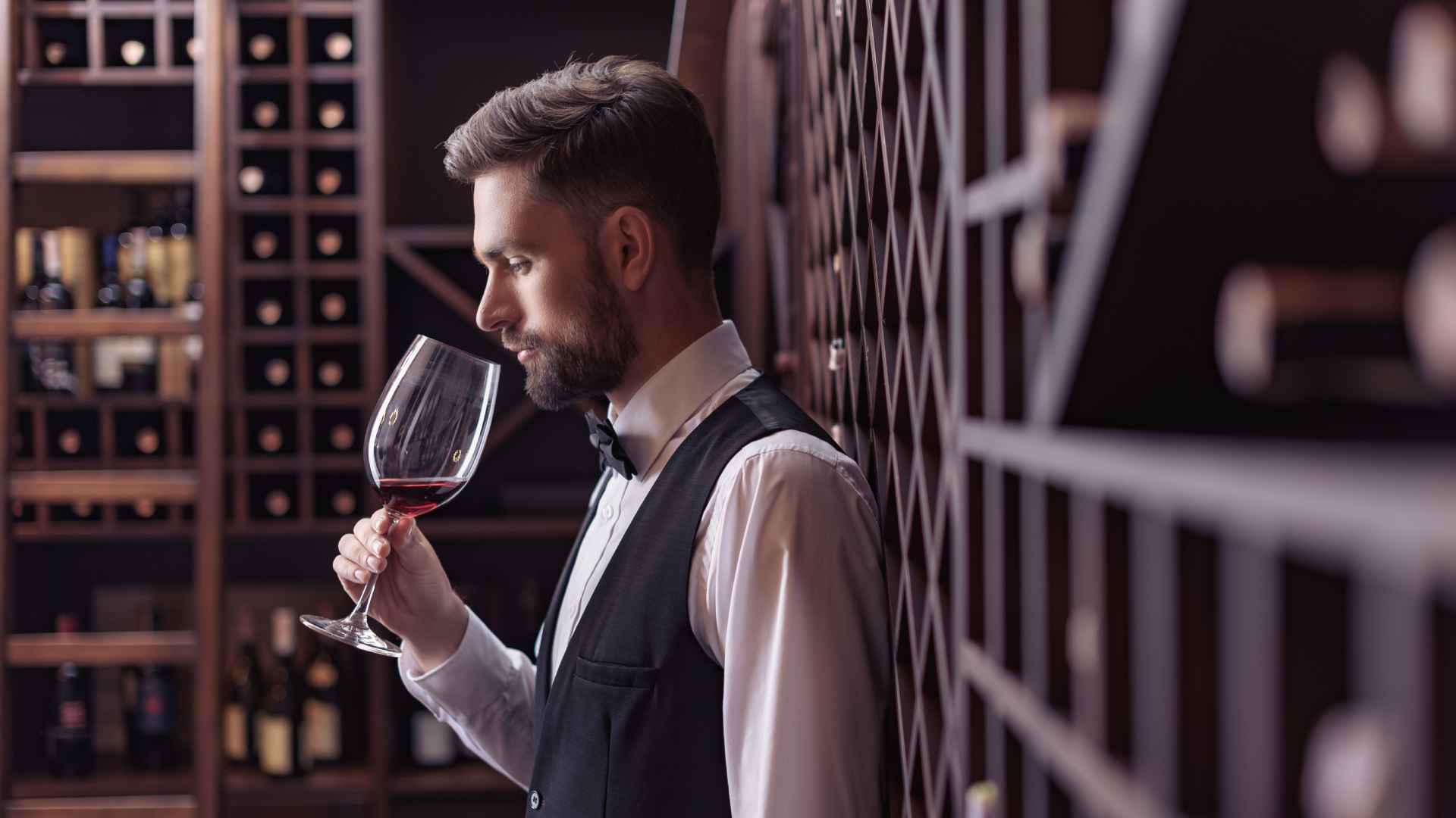 Panuts: La fase olfativa del vino